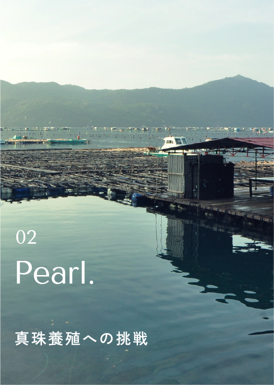 02 Pearl. 真珠養殖への挑戦