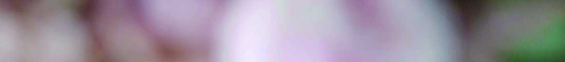 背景ライン